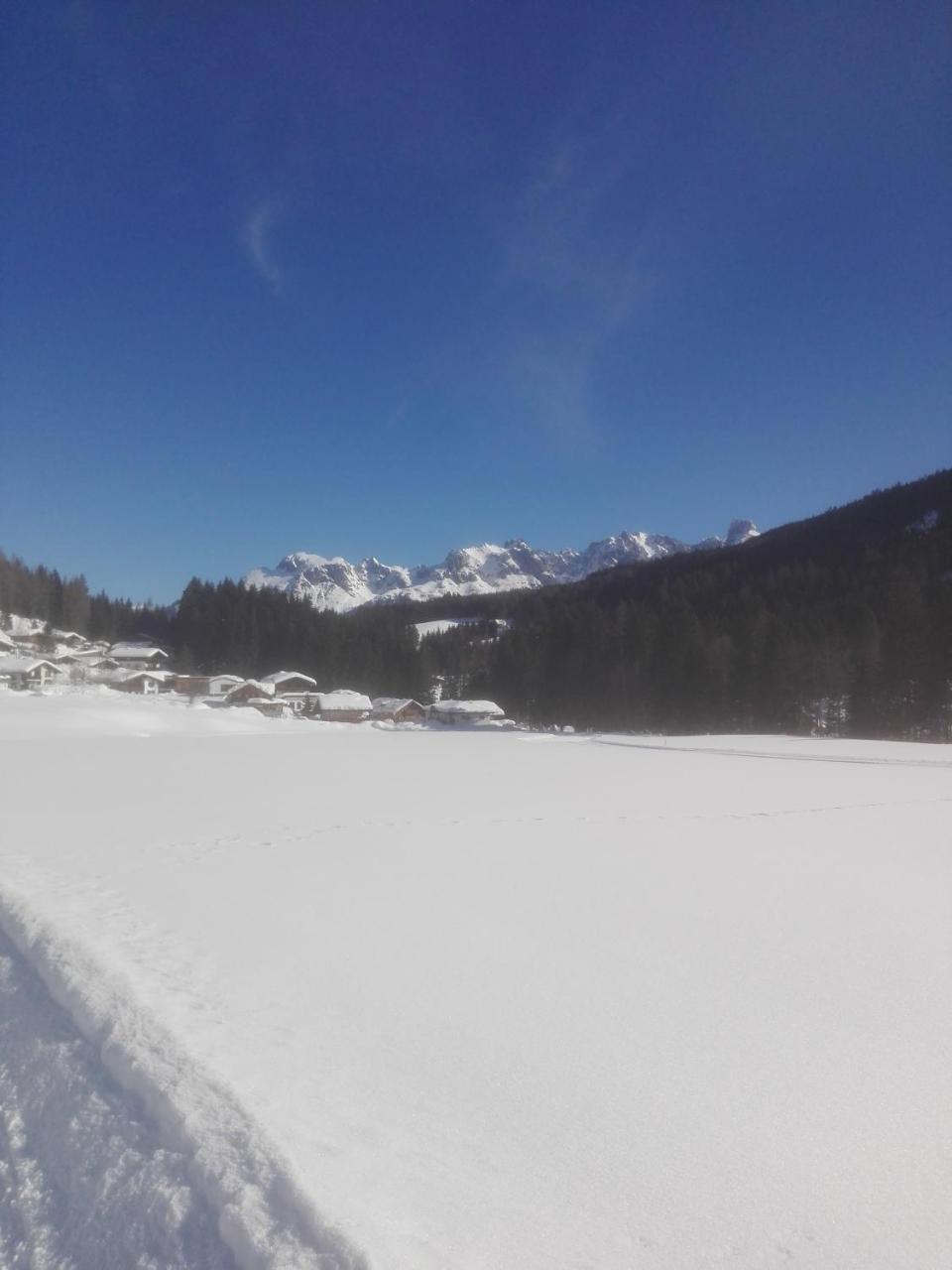 Large Cozy Apartment Grubweg 130 Qm Sankt Martin am Tennengebirge Eksteriør billede